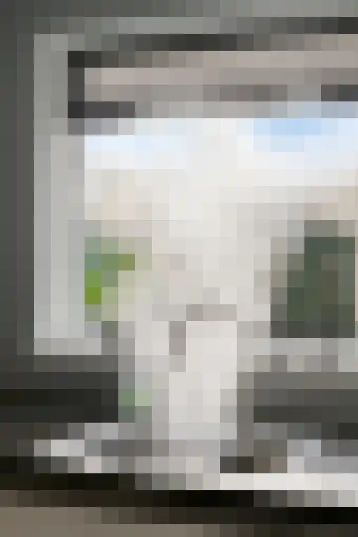 Tingietersdonk 493 Apeldoorn thumbnail 15