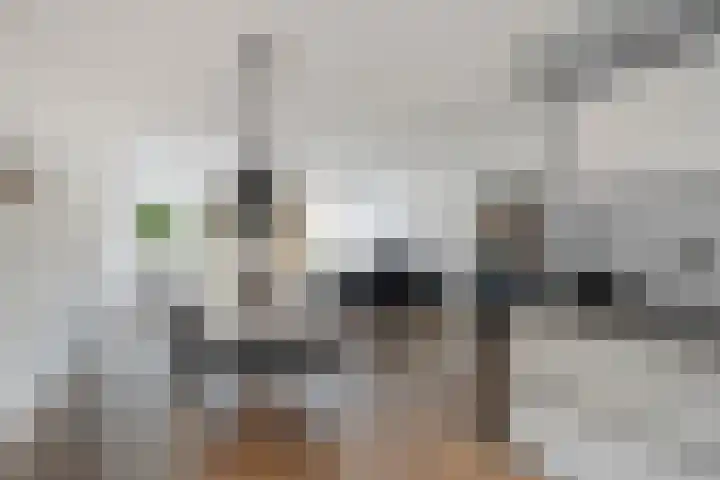 Tingietersdonk 493 Apeldoorn thumbnail 17