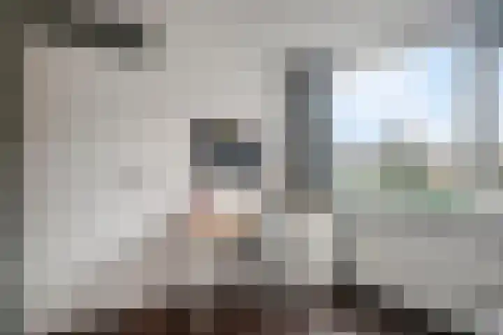 Tingietersdonk 493 Apeldoorn thumbnail 24