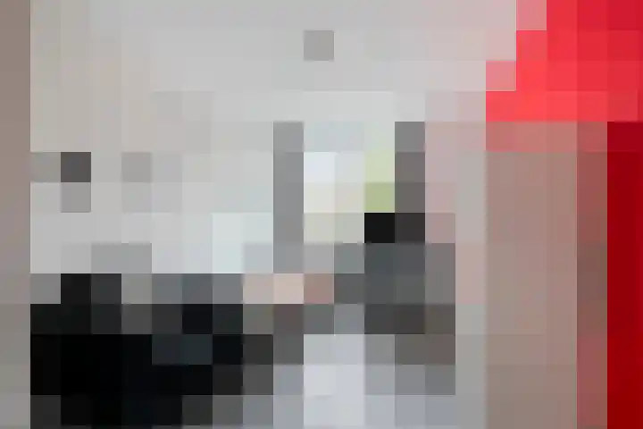 Tingietersdonk 493 Apeldoorn thumbnail 25