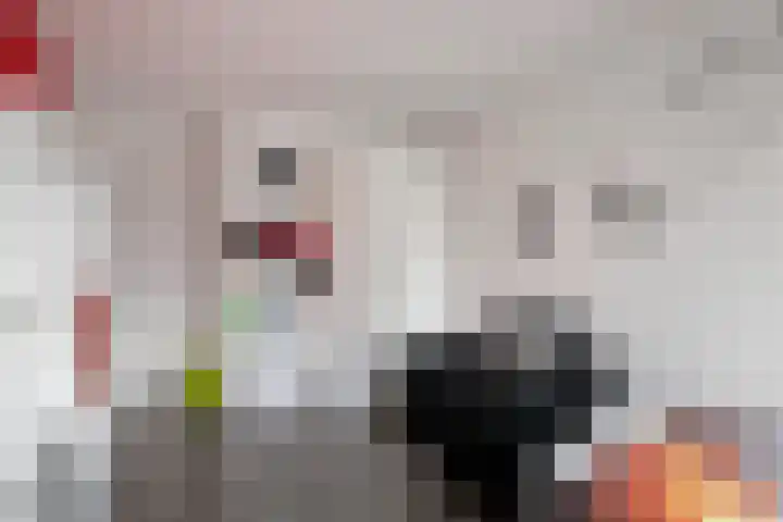 Tingietersdonk 493 Apeldoorn thumbnail 26