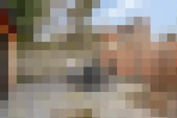 Tingietersdonk 493 Apeldoorn thumbnail 31
