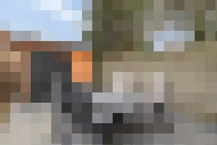 Tingietersdonk 493 Apeldoorn thumbnail 32