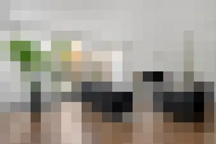 Tingietersdonk 493 Apeldoorn thumbnail 8