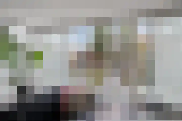 Tingietersdonk 493 Apeldoorn thumbnail 9