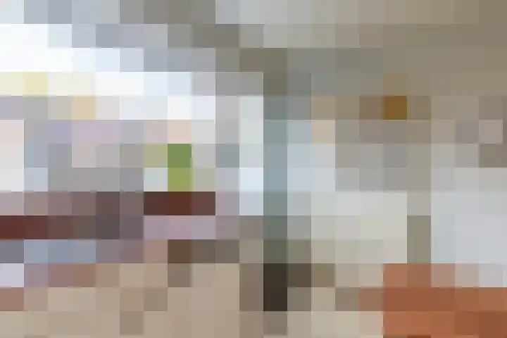 Tingietersdonk 7 Apeldoorn thumbnail 11