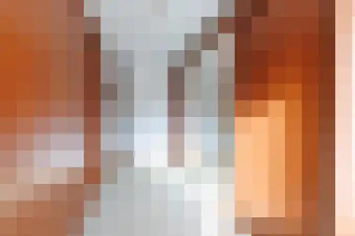 Tingietersdonk 7 Apeldoorn thumbnail 15