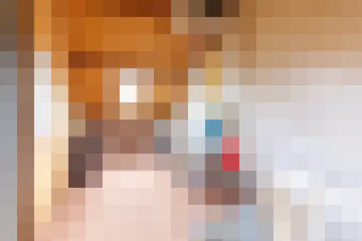 Tingietersdonk 7 Apeldoorn thumbnail 19