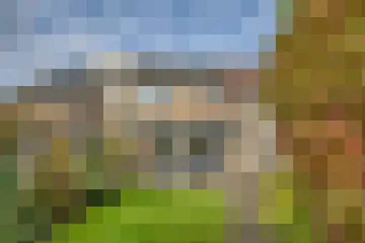 Tingietersdonk 7 Apeldoorn thumbnail 24