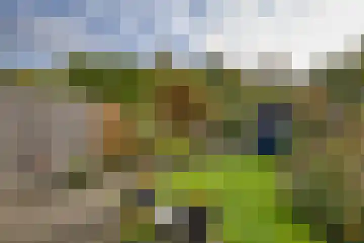 Tingietersdonk 7 Apeldoorn thumbnail 25
