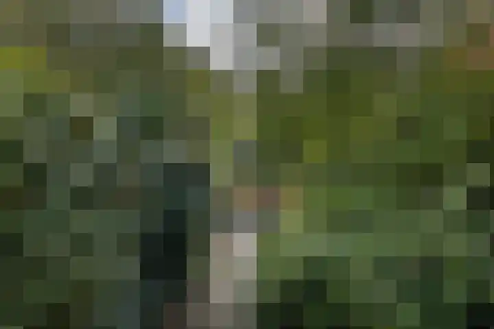 Tingietersdonk 7 Apeldoorn thumbnail 26