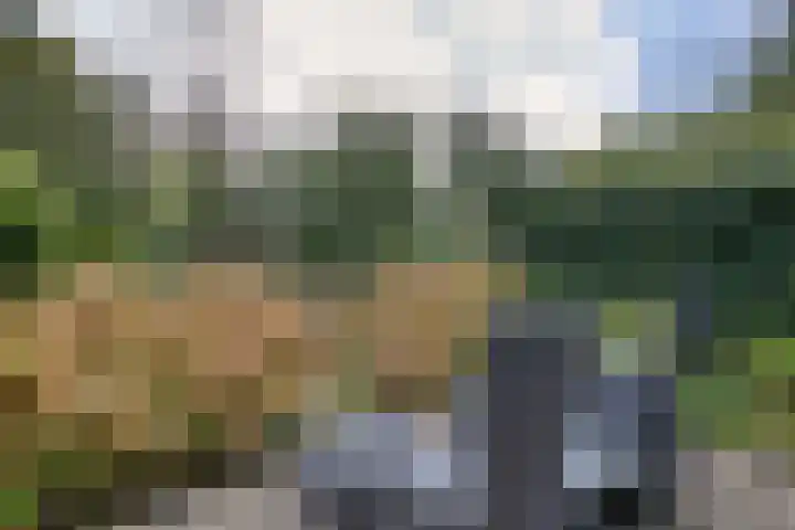 Tingietersdonk 7 Apeldoorn thumbnail 27