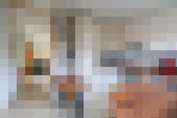 Tingietersdonk 7 Apeldoorn thumbnail 4