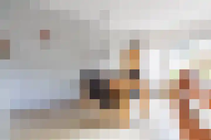 Tingietersdonk 7 Apeldoorn thumbnail 9