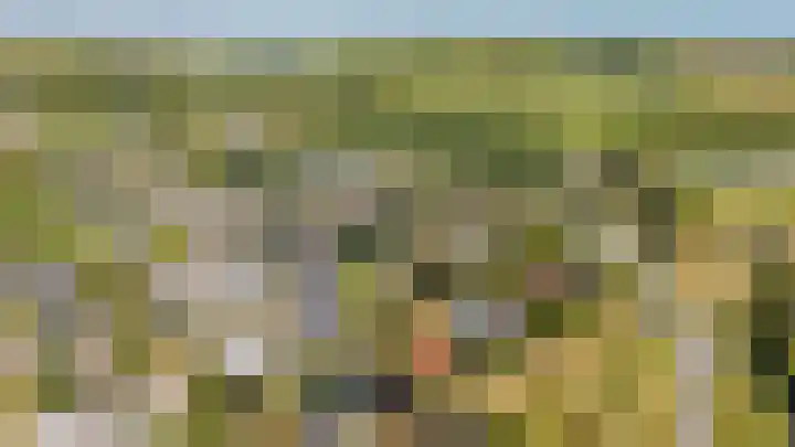 Tingietersgilde 12 Houten thumbnail 100