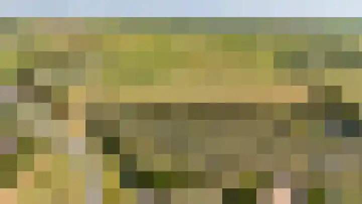 Tingietersgilde 12 Houten thumbnail 102