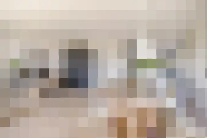 Tingietersgilde 12 Houten thumbnail 12