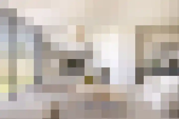 Tingietersgilde 12 Houten thumbnail 13