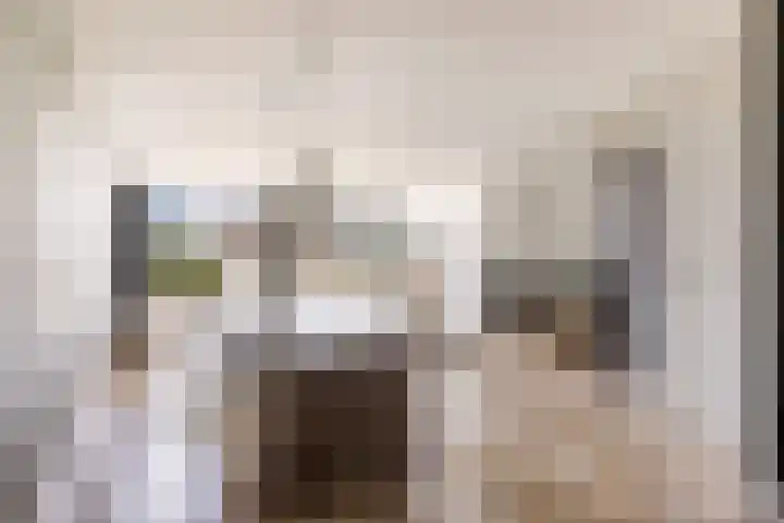 Tingietersgilde 12 Houten thumbnail 15