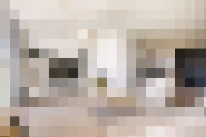 Tingietersgilde 12 Houten thumbnail 16