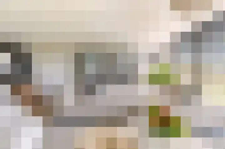 Tingietersgilde 12 Houten thumbnail 17