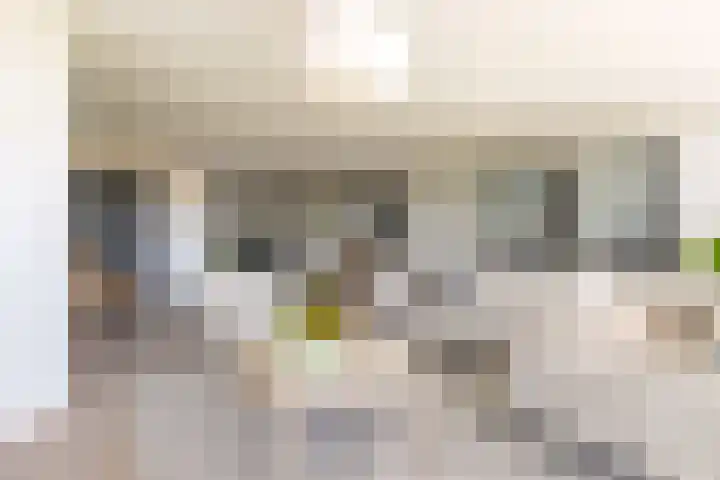 Tingietersgilde 12 Houten thumbnail 19