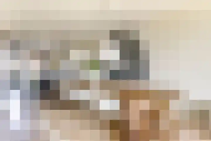 Tingietersgilde 12 Houten thumbnail 21