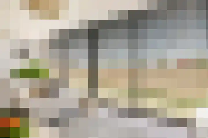 Tingietersgilde 12 Houten thumbnail 24