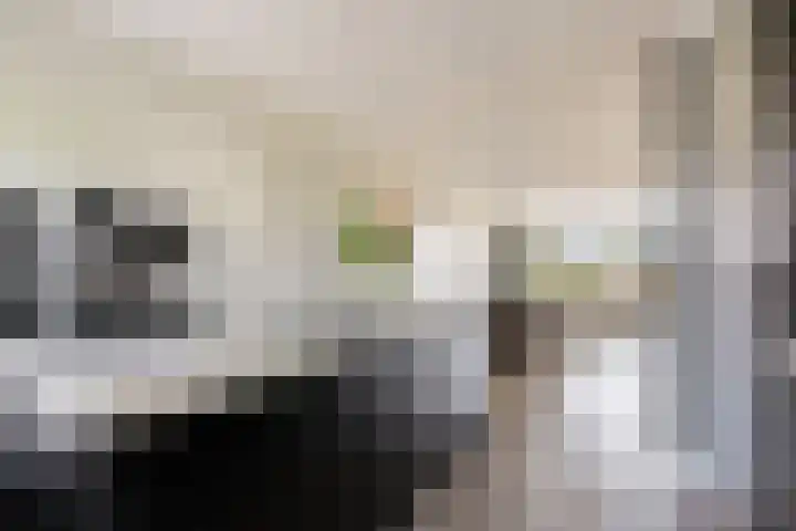 Tingietersgilde 12 Houten thumbnail 26