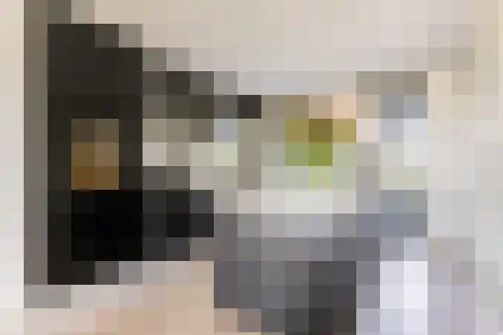 Tingietersgilde 12 Houten thumbnail 28
