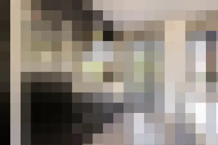 Tingietersgilde 12 Houten thumbnail 29