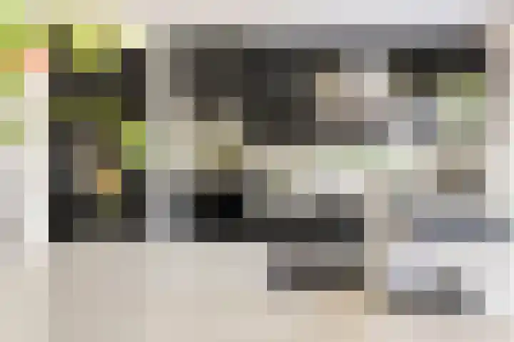 Tingietersgilde 12 Houten thumbnail 30
