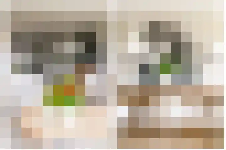 Tingietersgilde 12 Houten thumbnail 31
