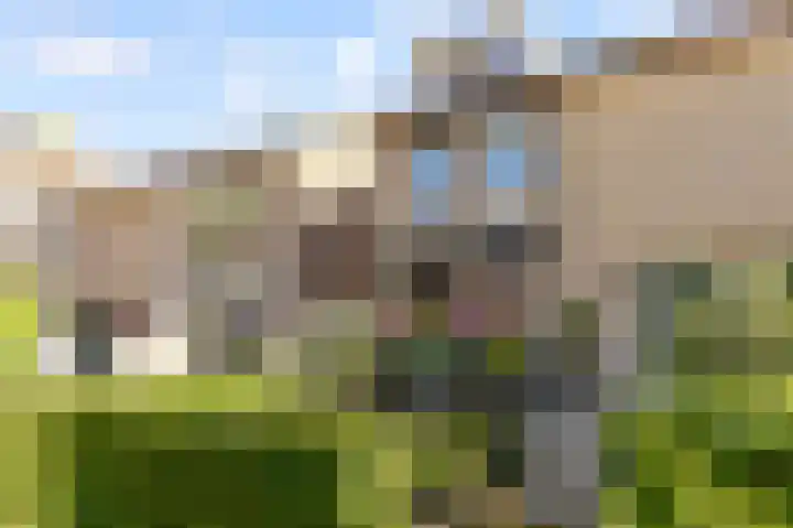 Tingietersgilde 12 Houten thumbnail 4
