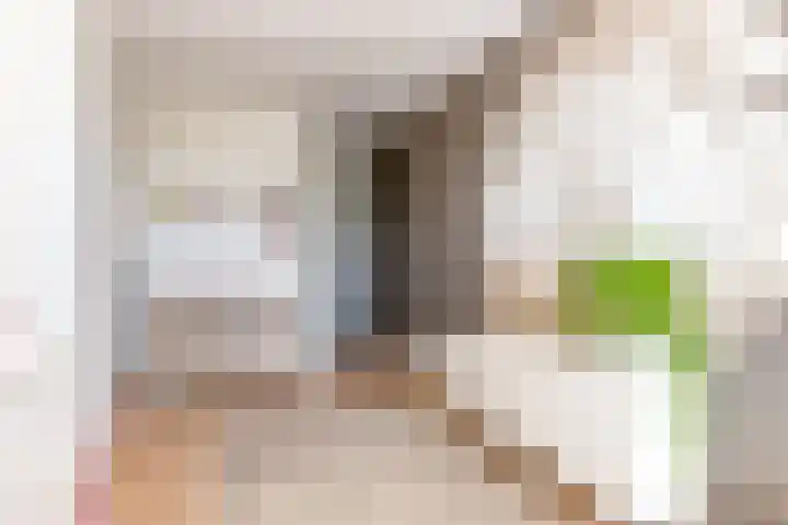 Tingietersgilde 12 Houten thumbnail 41