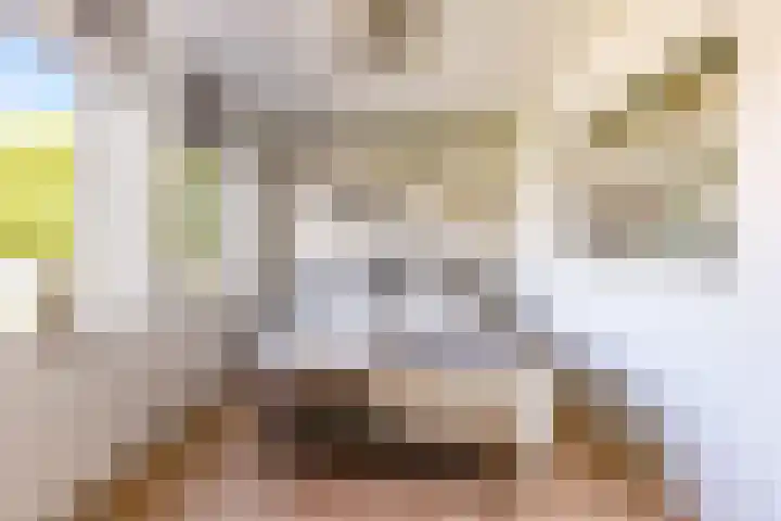 Tingietersgilde 12 Houten thumbnail 43
