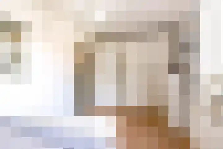 Tingietersgilde 12 Houten thumbnail 44