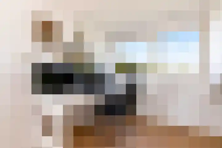 Tingietersgilde 12 Houten thumbnail 56