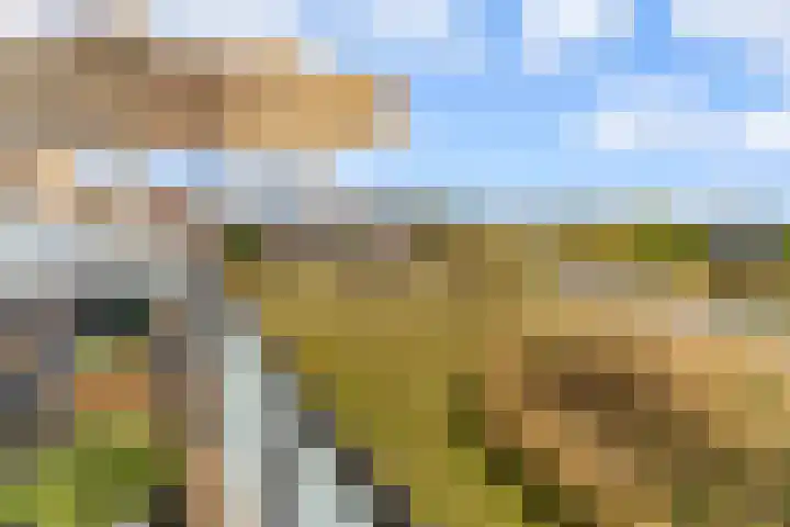 Tingietersgilde 12 Houten thumbnail 59