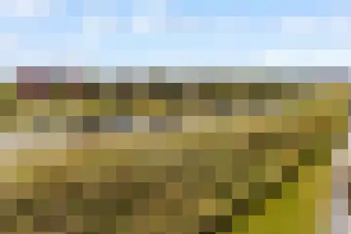 Tingietersgilde 12 Houten thumbnail 61