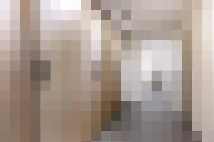 Tingietersgilde 12 Houten thumbnail 66