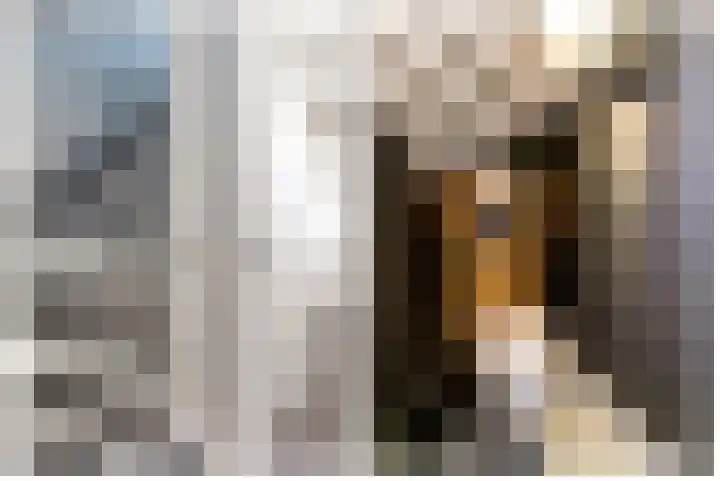 Tingietersgilde 12 Houten thumbnail 67