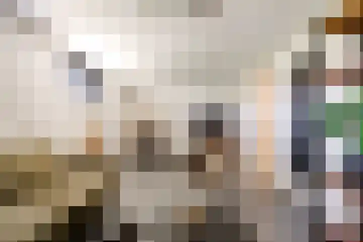 Tingietersgilde 12 Houten thumbnail 69