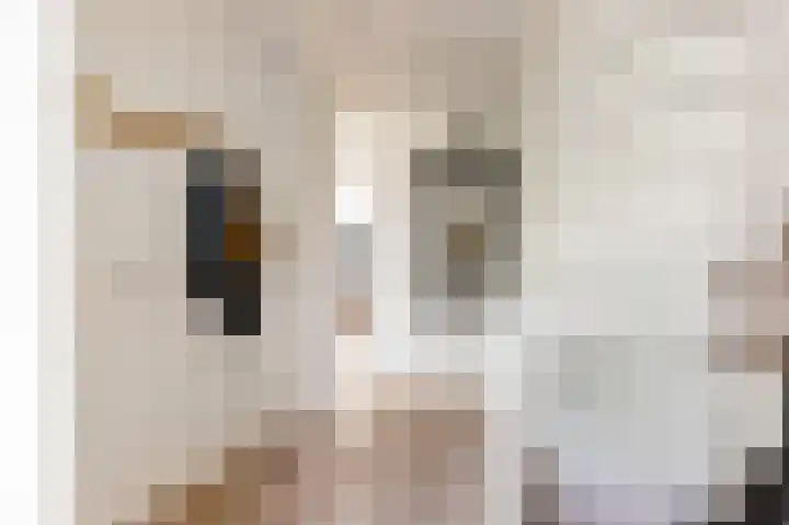 Tingietersgilde 12 Houten thumbnail 7