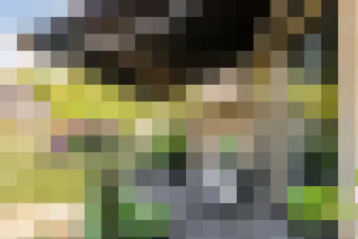 Tingietersgilde 12 Houten thumbnail 70