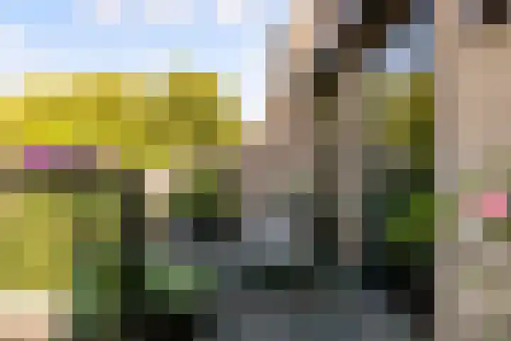 Tingietersgilde 12 Houten thumbnail 71