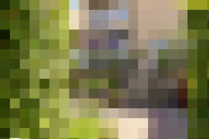 Tingietersgilde 12 Houten thumbnail 72