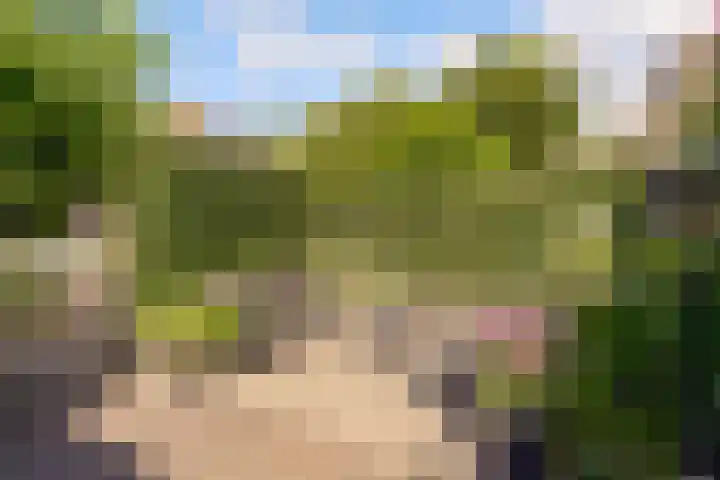 Tingietersgilde 12 Houten thumbnail 73