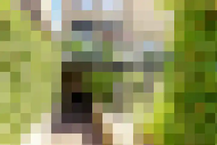 Tingietersgilde 12 Houten thumbnail 74