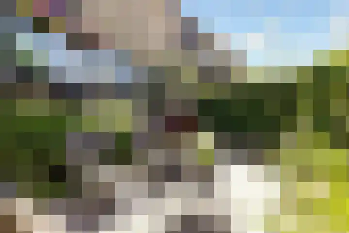 Tingietersgilde 12 Houten thumbnail 75